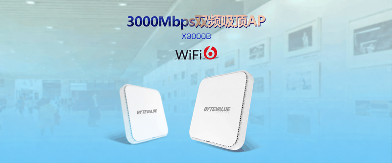 X3000B 产品介绍