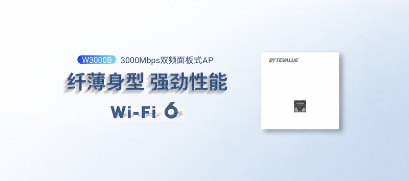 W3000B 产品介绍